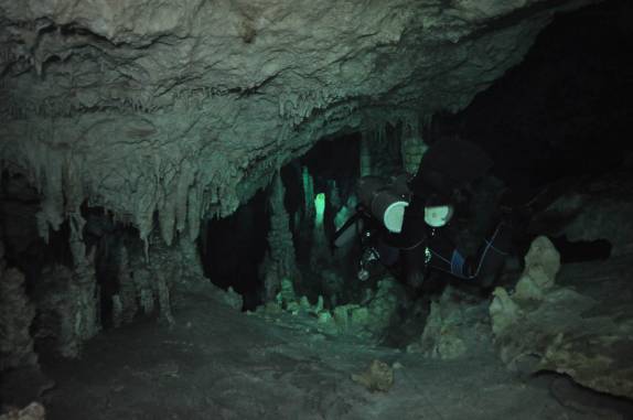 O incrível cenário do mergulho no Gran Cenote, na região de Tulum, no Yucatán, sul do México (foto de Luis Leal)